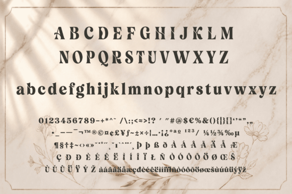 Velour Delamio: The Serif That Commands the Room